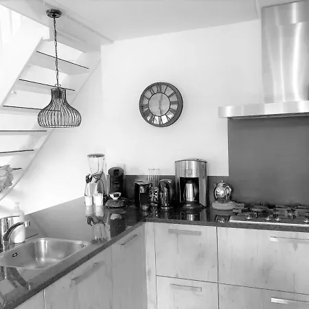 Holiday home Charming By The With Sauna Bubble Bath And Sunbed Julianadorp