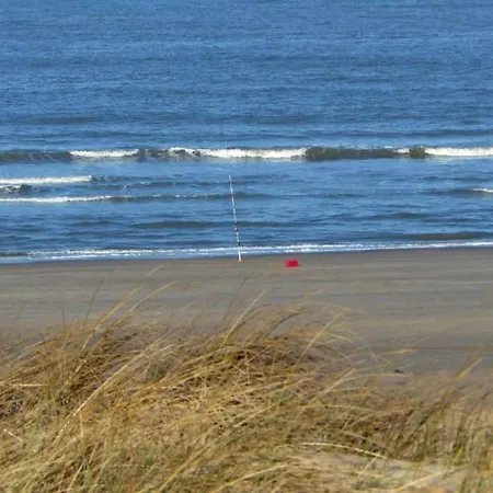 Chic Beachside W Sauna Holiday home Julianadorp