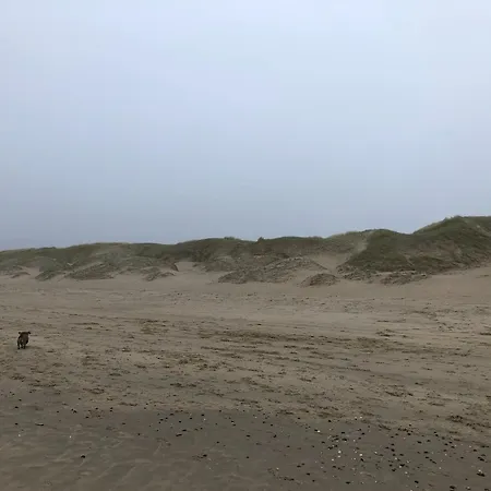 Chic Beachside W Sauna * Julianadorp