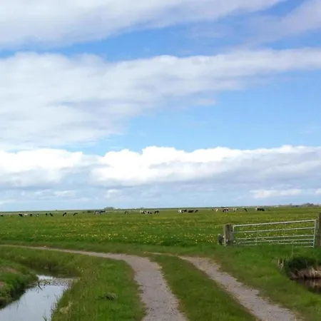 Holiday home Chic Beachside W Sauna *