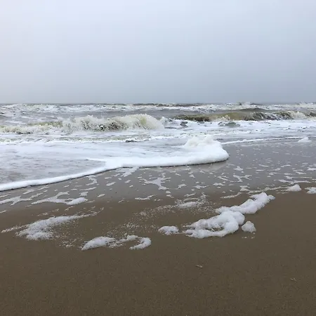 Chic Beachside W Sauna Holiday home