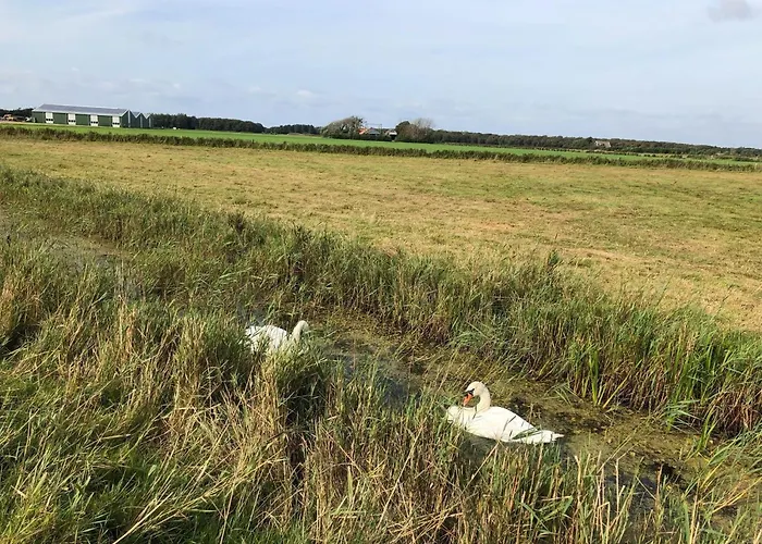 Feriehus Chic Beachside W Sauna
