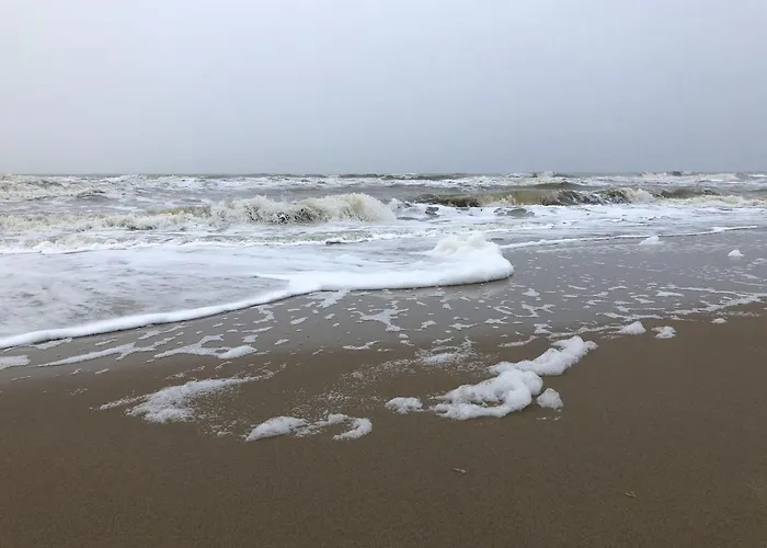 Chic Beachside W Sauna Feriehus