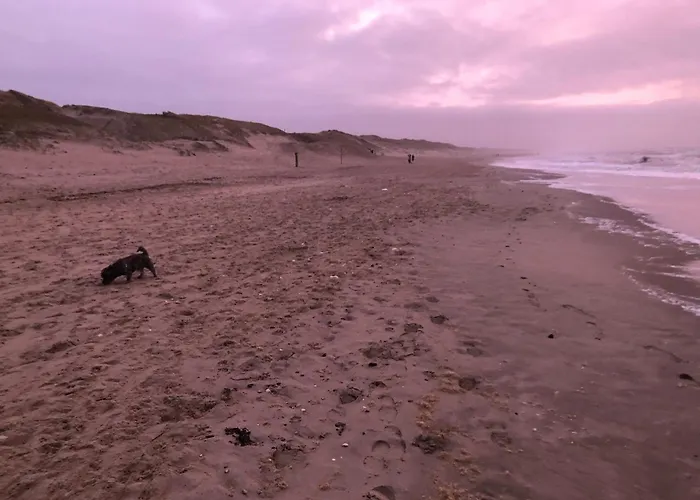 Chic Beachside W Sauna Feriehus *