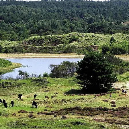 Chic Beachside W Sauna Σπίτι διακοπών