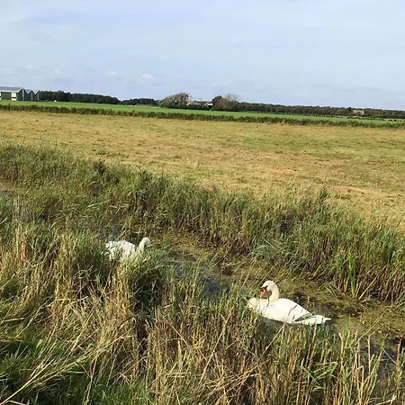 Σπίτι διακοπών Chic Beachside W Sauna