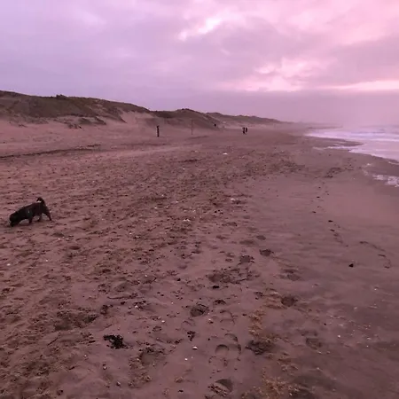 Chic Beachside W Sauna Σπίτι διακοπών *