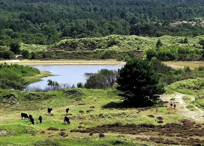 Chic Beachside W Sauna Сasa de vacaciones